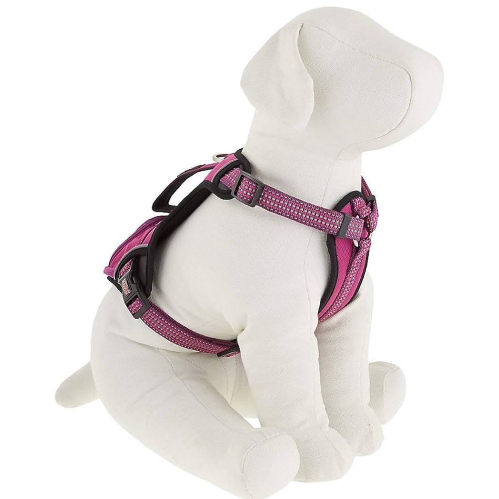 KONG- Dog Harness Reflective Pocket Medium, Pink
